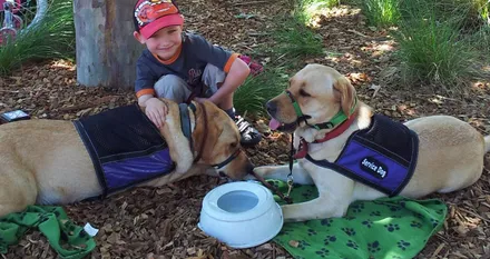 image of Supported Animal Encounters